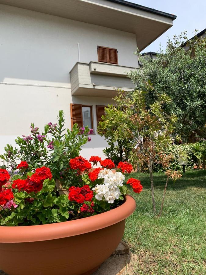 Brezza Affittacamere مونتيهمارثيانو المظهر الخارجي الصورة